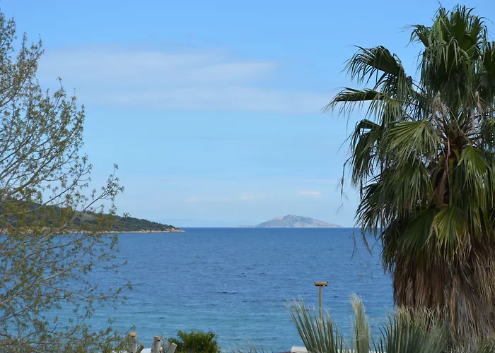 Apollon 2*